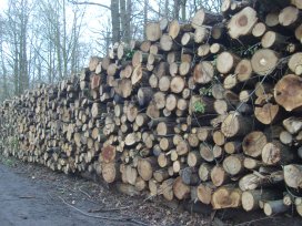 Photo: Pascal Cressent