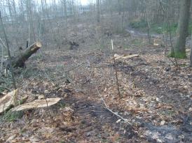 Photo: Pascal Cressent