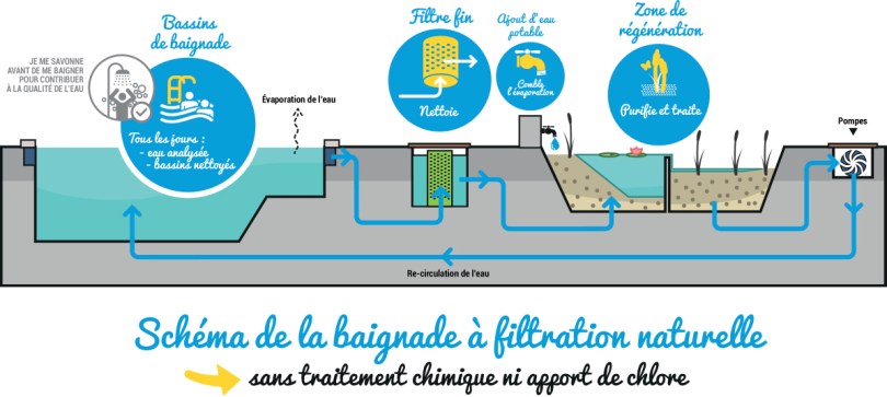 Procédé de filtration de la piscine naturelle