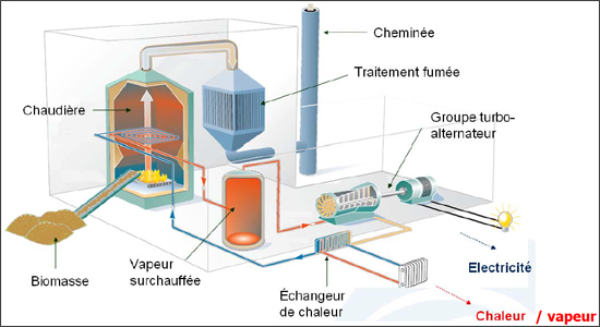 centrale-biomasse